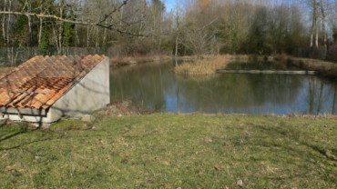 ÉTANGS SUR 6000 m² SUR LENCLOITRE Réf 2196