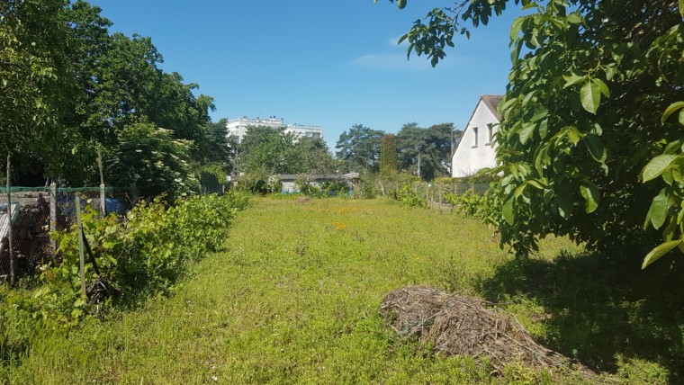 TERRAIN CONSTRUCTIBLE CHÂTELLERAULT Réf 2323