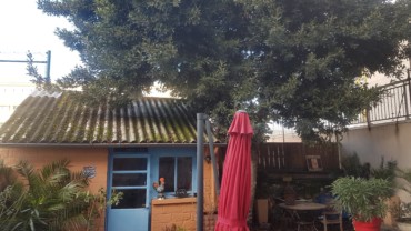 MAISON F5 A ETAGES DE 160 M² EN PLEIN CENTRE VILLE DE CHÂTELLERAULT Réf 2297