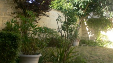 MAISON DE VILLE F6 DE 194 M² SUR UN TERRAIN DE 240M² CHATELLERAULT Réf 2335