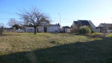 TERRAIN 1000 M² A TARGE Réf 2296