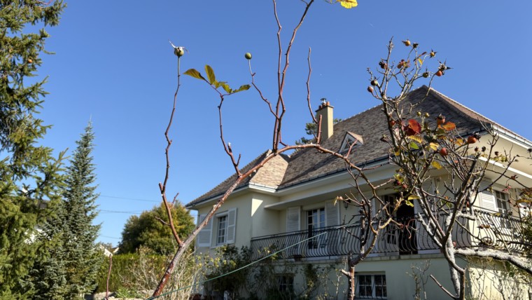 BELLE MAISON F7 SUR LES HAUTEURS D’ANTOIGNÉ AVEC VUE SUR CHÂTELLERAULT ET CAMPAGNE SUR BEAU TERRAIN ARBORE DE 1800 M² Réf 2646