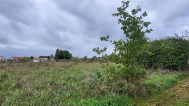 TERRAIN AGRICOLE CHÂTELLERAULT Réf 2655