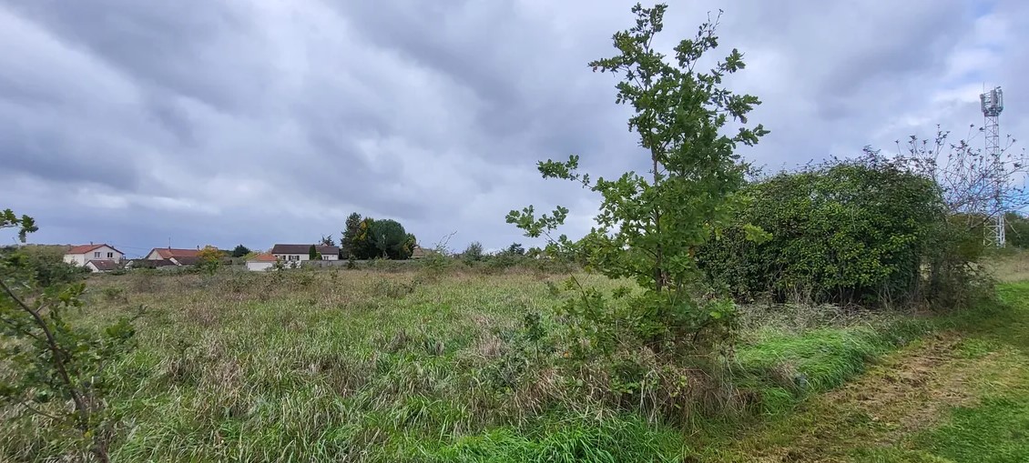 TERRAIN AGRICOLE CHÂTELLERAULT Réf 2655